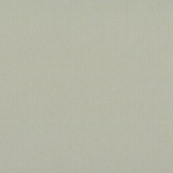 Paper Ingres Color...