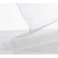 Paper Conservació Tengucho 9g