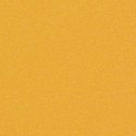 Paper Curious 120g