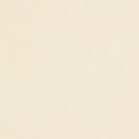 Paper Curious 120g