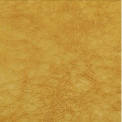 Paper Kinwashi 55G Canyam...