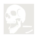 Plantilla Stencil 20x20