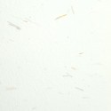 Papel Privat A4 100g Ca L'Olivé