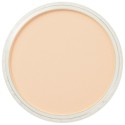 Pastel Panpastel 9 mL