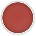 Pastel Panpastel 9 mL