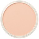 Pastel Panpastel 9 mL