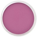 Pastel Panpastel 9 mL