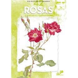 Quadern nº 42 Roses...