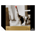 Bloc Oli Rembrandt 300G
