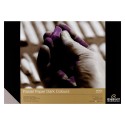 Bloc Paper per a Pastel Rembrandt 160 gr