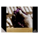 Bloc Papel para Pastel Rembrandt 160 gr
