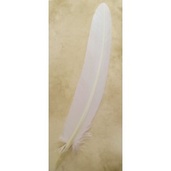 Pluma Oca Brause