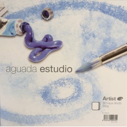Bloc Aguada Estudio 350g...