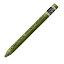 Pastel Acuarelable Neocolor II Caran D'ache