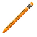 Pastel Acuarelable Neocolor II Caran D'ache