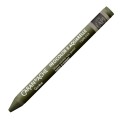 Pastel Acuarelable Neocolor II Caran D'ache