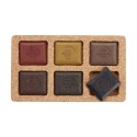 Set ArtGraf Pigment Premsat 6 pastilles Taylor Shape