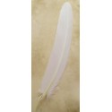 Pluma Oca Brause