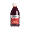 Tinta Nan King 250ml Lefranc Bourgeois