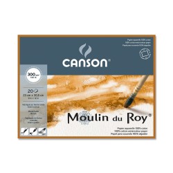Bloc Moulin Du Roy 300g 4...