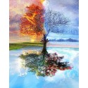 Set Bastidor Pintar Por Números 40x50cm