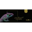 Caja Acuarelas Finetec Premium