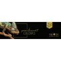Caja Acuarelas Finetec Premium