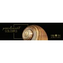 Caja Acuarelas Finetec Premium